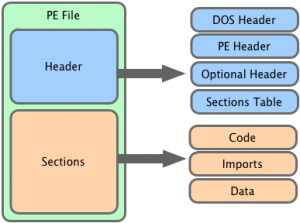 Layout of a DLL